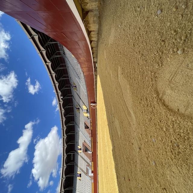 vista del albero de plaza de toros de Palencia